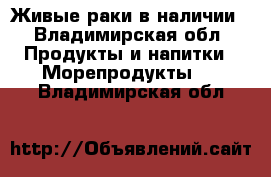 Живые раки в наличии - Владимирская обл. Продукты и напитки » Морепродукты   . Владимирская обл.